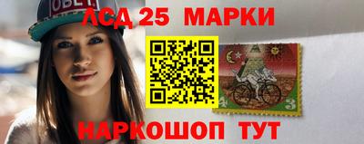 хмурый Сланцы