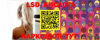 хмурый Сланцы