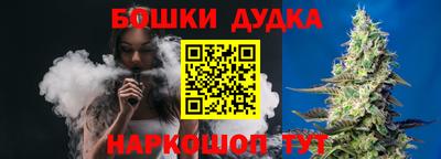 хмурый Сланцы