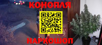 хмурый Сланцы