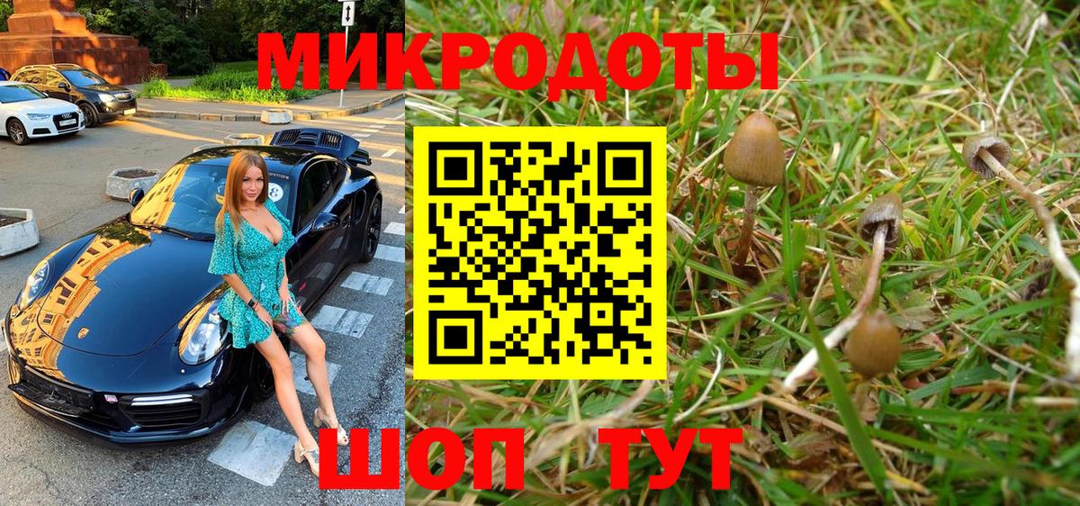 Псилоцибиновые грибы MAGIC MUSHROOMS  Вход с VPN  Нижнекамск 